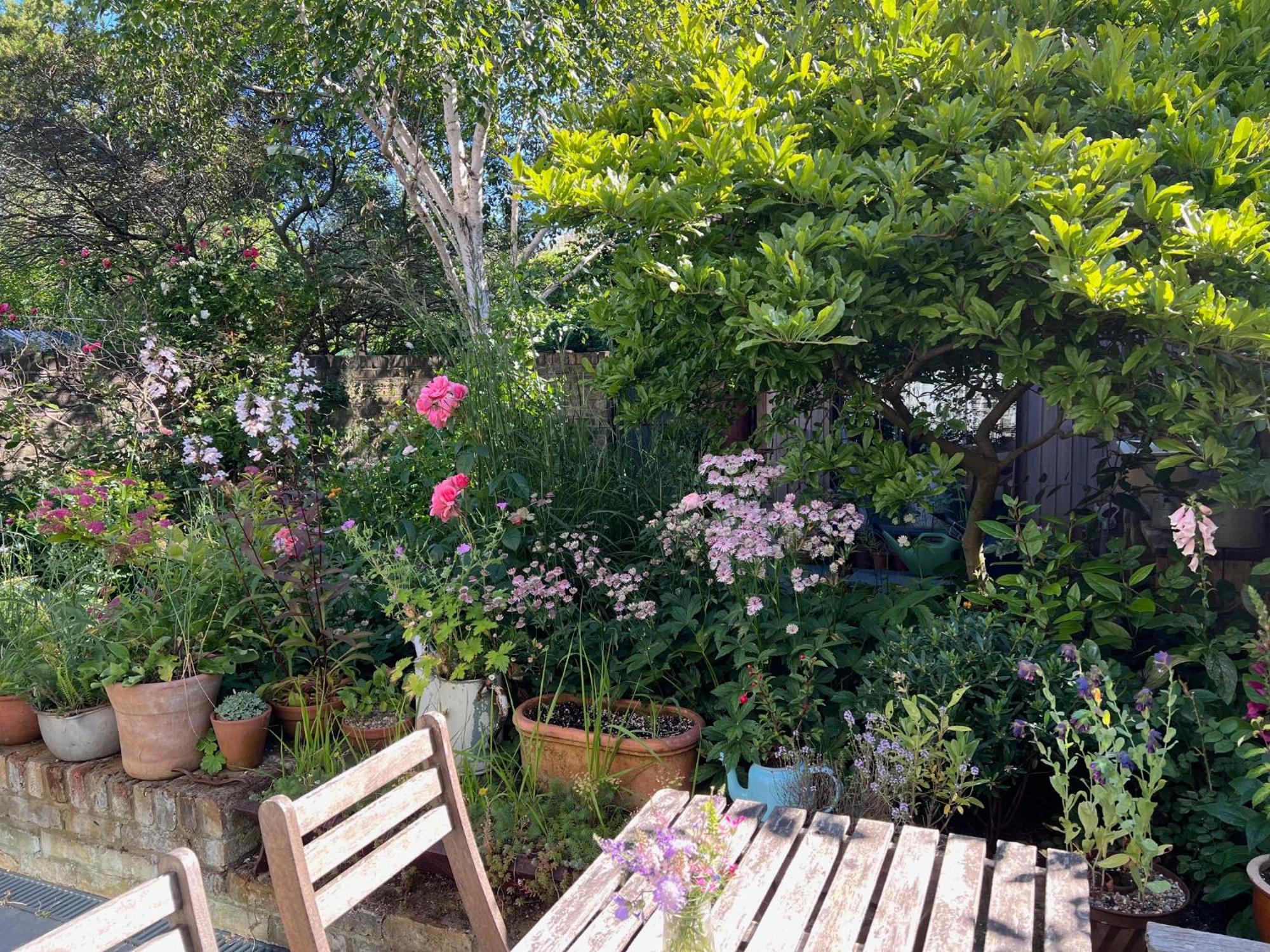 Bright And Elegant 2 Bedroom Flat, Near Notting Hill London Exterior photo