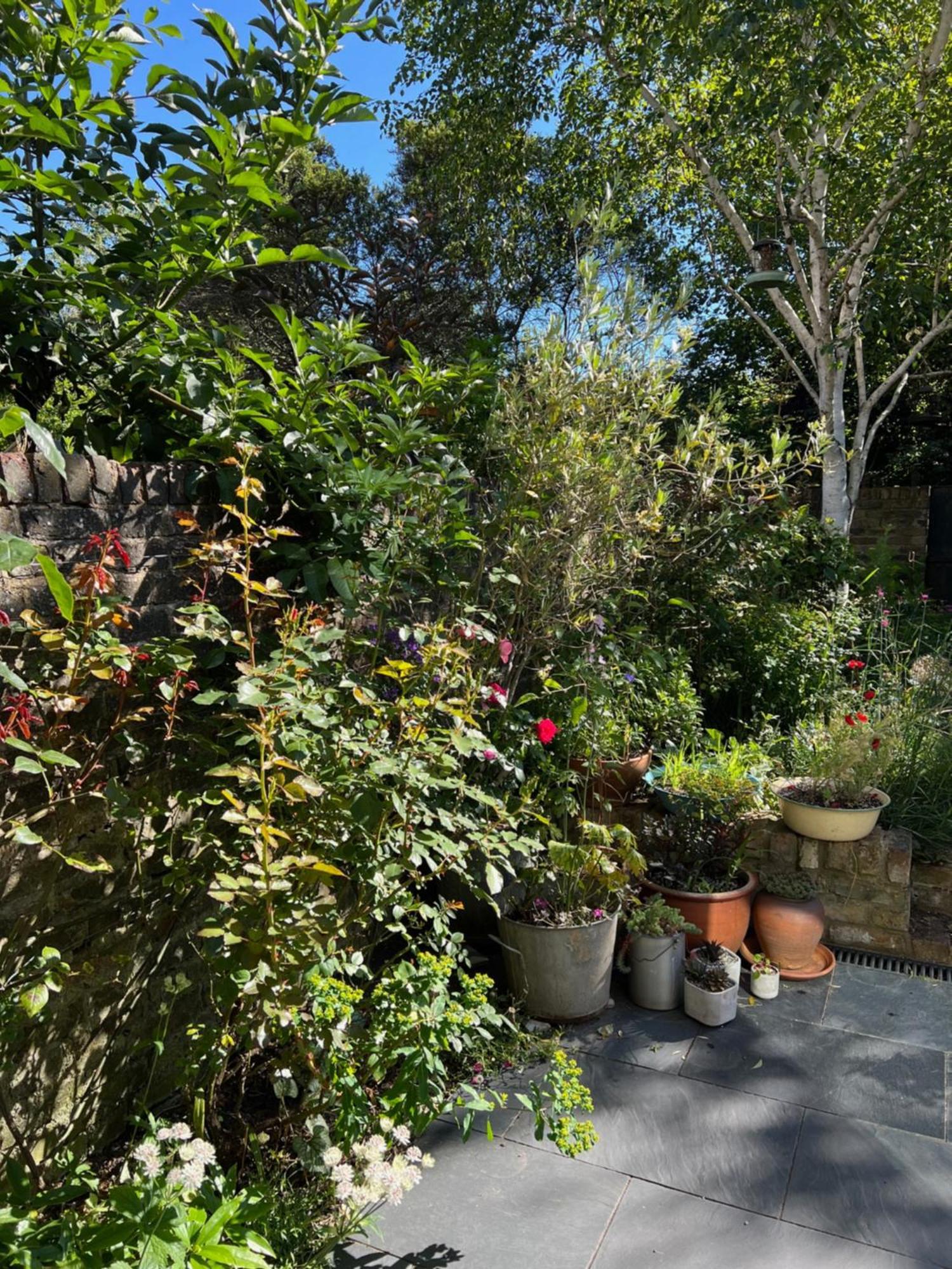 Bright And Elegant 2 Bedroom Flat, Near Notting Hill London Exterior photo